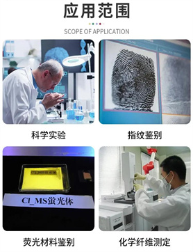 临江16859手扳葫芦空载试验装置